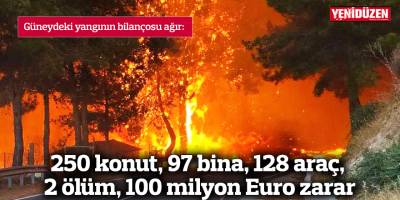 Güneydeki yangının bilançosu ağır