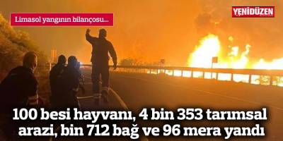 Limasol yangınında 100 besi hayvanı, 4 bin 353 tarımsal arazi, bin 712 bağ ve 96 mera yandı