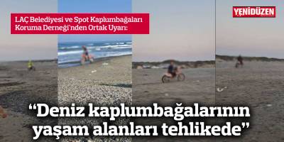 “Deniz kaplumbağalarının yaşam alanları tehlikede”