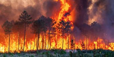 Avrupa'nın yer yer yüksek sıcaklık ve yangınlarla mücadelesi sürüyor