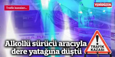 Alkollü sürücü aracıyla dere yatağına düştü