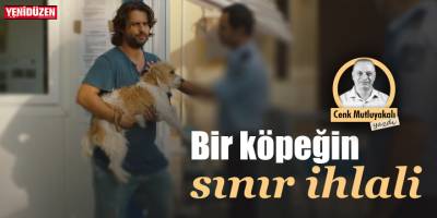 Bir köpeğin sınır ihlali