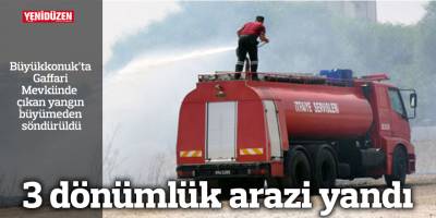3 dönümlük arazi yandı