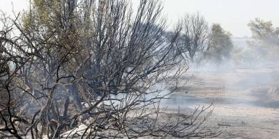 Güneyde, Limasol yangın mağdurlarına 140 bin euro maaş desteği