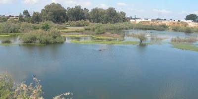 Sivil toplum örgütleri Ayluga Sulak Alanı’nı koruma çağrısında bulundu