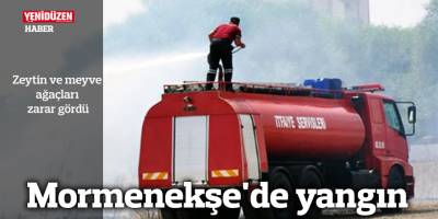 Mormenekşe'de yangın