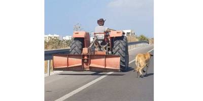 Köpeği traktörle çeken sürücüye 7 bin 680 TL para cezası