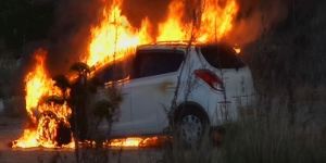 Son anda fark etti, kurtuldu!