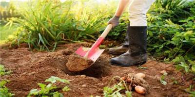 “Fare Mücadele Projesi” başlatılıyor...