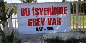 BAY-SEN GREVDE