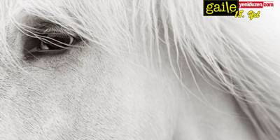 Atı Yalnız Bırakmak*