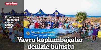 Yavru kaplumbağalar denizle buluştu