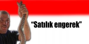 Böylesi görülmedi…