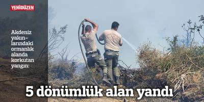 5 dönümlük alan yandı