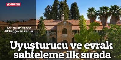 Uyuşturucu ve evrak sahteleme ilk sırada