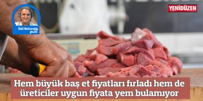 Hem büyük baş et fiyatları fırladı hem de üreticiler uygun fiyata yem bulamıyor