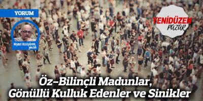 Öz-Bilinçli Madunlar, Gönüllü Kulluk Edenler ve Sinikler