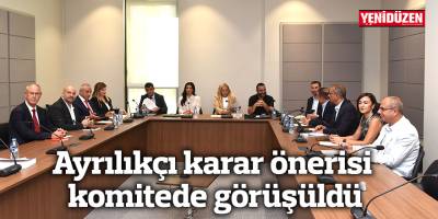 Ayrılıkçı karar önerisi komitede görüşüldü