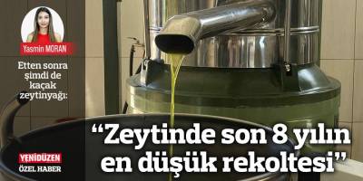 “Zeytinde son 8 yılın en düşük rekoltesi”