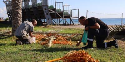 İskele Belediyesi geleneksel hurma dağıtımı 15 Kasım’da yapılıyor