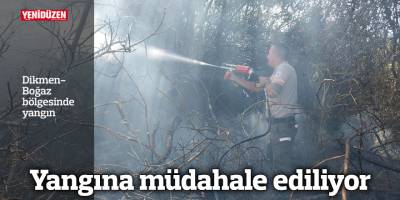 Dikmen-Boğaz bölgesinde yangın