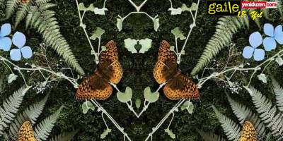 Gaile 522: Editörün Notu