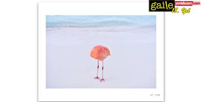 Resim, Fotoğraf, Yapay Zeka: Sanatın Teknolojiyle İlgili Pek Değişmeyen Kaygıları