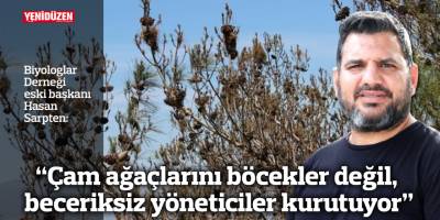 “Çam ağaçlarını böcekler değil, beceriksiz yöneticiler kurutuyor”