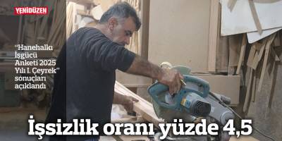 İşsizlik oranı yüzde 4,5