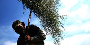 “Çiftçinin 20 milyon alacağı var”