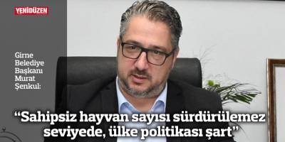 Şenkul: “Sahipsiz hayvan sayısı sürdürülemez seviyede, ülke politikası şart”
