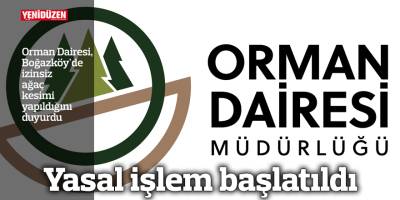 Boğazköy'de izinsiz ağaç kesimi!