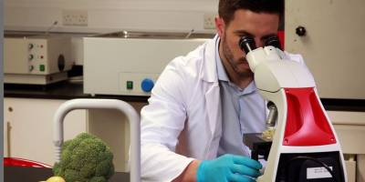 Yerli biber ve kerevizde tavsiye dışı bitki koruma ürünü