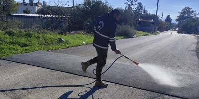 Dikmen Belediyesi'nden şap hastalığına karşı tedbirler