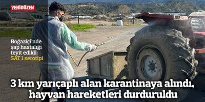 Boğaziçi’nde şap hastalığı teyit edildi: SAT 1 serotipi