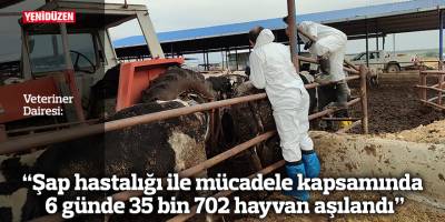 "Şap hastalığı ile mücadele kapsamında 6 günde 35 bin 702 hayvan aşılandı"