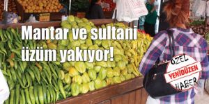 YENİDÜZEN, sebze- meyve fiyatlarını inceledi