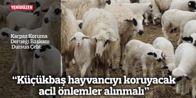 “Küçükbaş hayvancıyı koruyacak acil önlemler alınmalı”