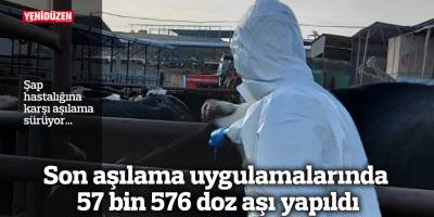 Şap hastalığına karşı aşılama sürüyor…