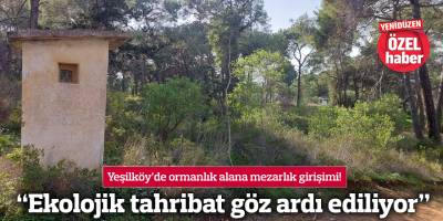 Yeşilköy’de ormanlık alana mezarlık girişimi!