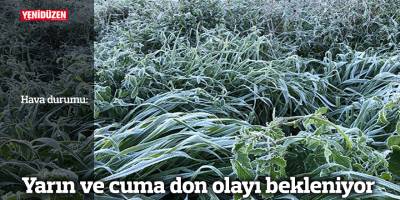 Yarın ve cuma don olayı bekleniyor