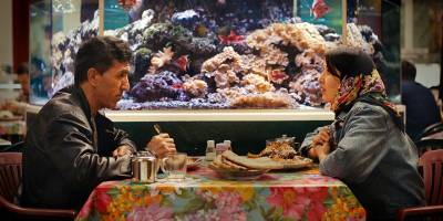 Berlin Film Festivali, Afgan yönetmen Şahrbanoo Sadat'ın "No Good Men" filmiyle açılacak