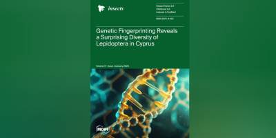 Kıbrıs’ın kelebek ve güve zenginliği, Insects’te kapak konusu oldu