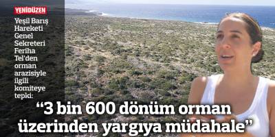 “3 bin 600 dönümlük orman için yargı müdahalesi”