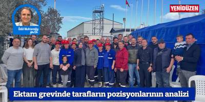 Ektam grevinde tarafların pozisyonlarının analizi