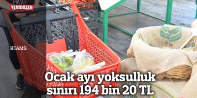 KTAMS: Ocak ayı yoksulluk sınırı 194 bin 20 TL