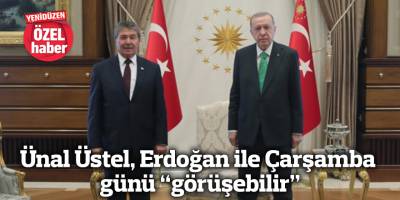 Ünal Üstel, Erdoğan ile Çarşamba günü “görüşebilir”