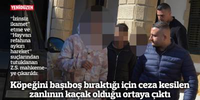 Köpeğini başıboş bıraktığı için ceza kesilen zanlının kaçak olduğu ortaya çıktı