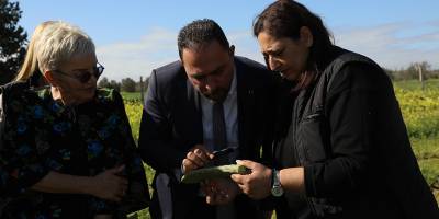 Çavuş: “Babutsada görülen koşnille mücadelede umut verici gelişme kaydedildi”