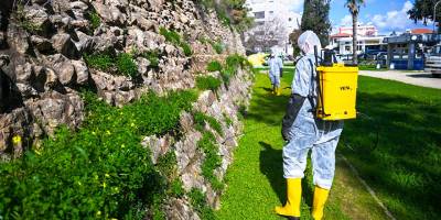 LTB, başkentin tarihi mirası surlarda temizlik ve ilaçlama çalışmalarına devam ediyor